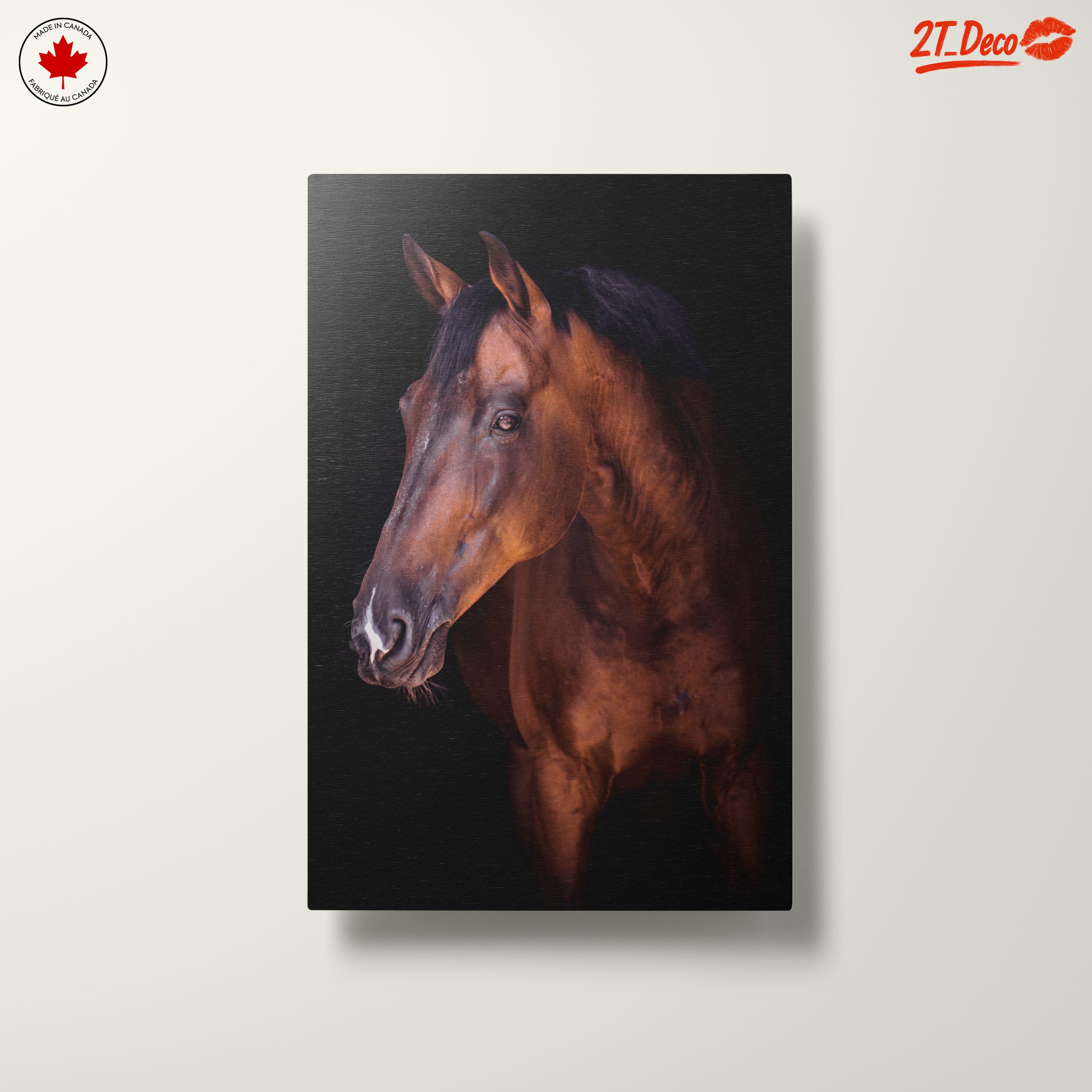 Stunning Horse Portrait - Image 10