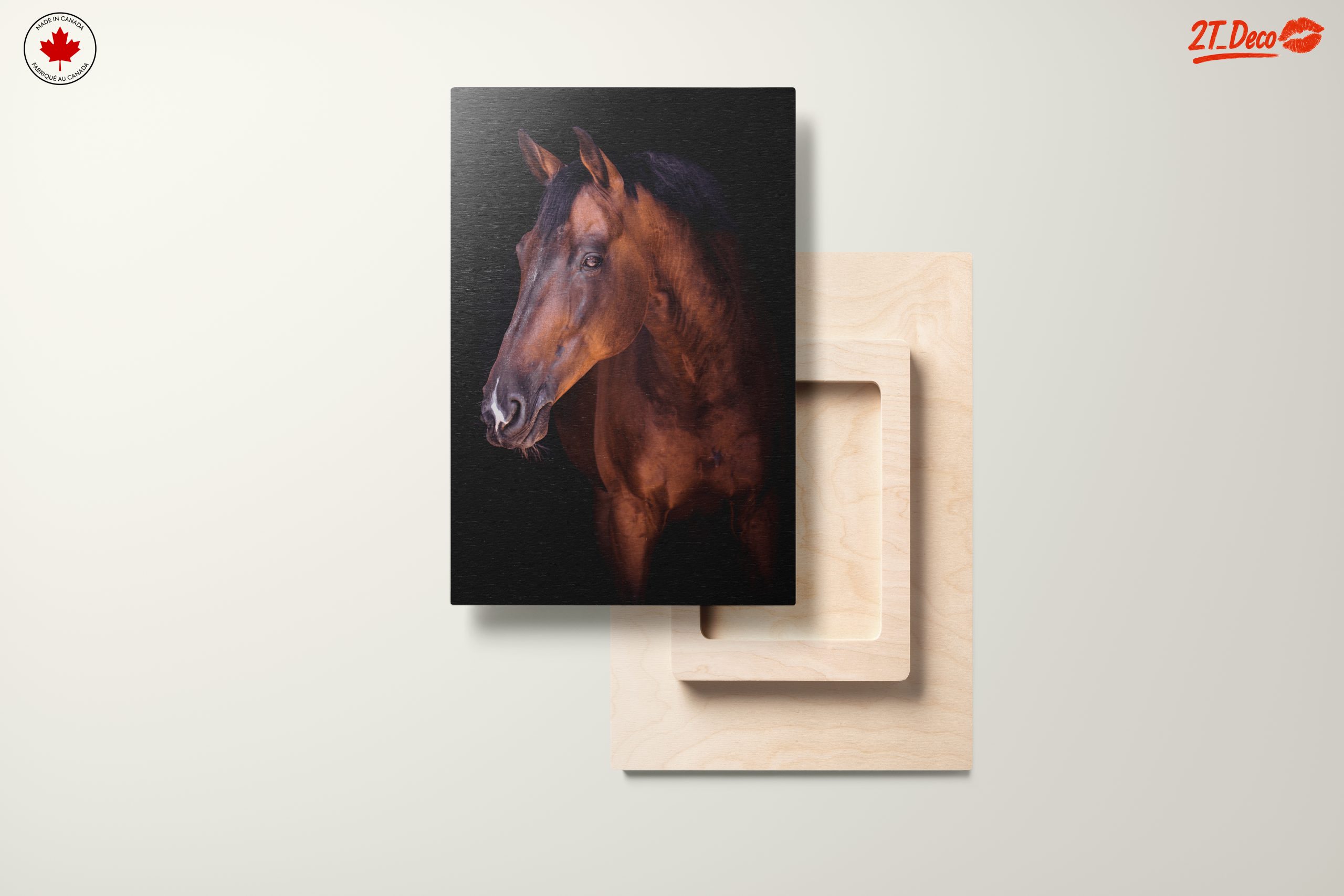 Stunning Horse Portrait - Image 11