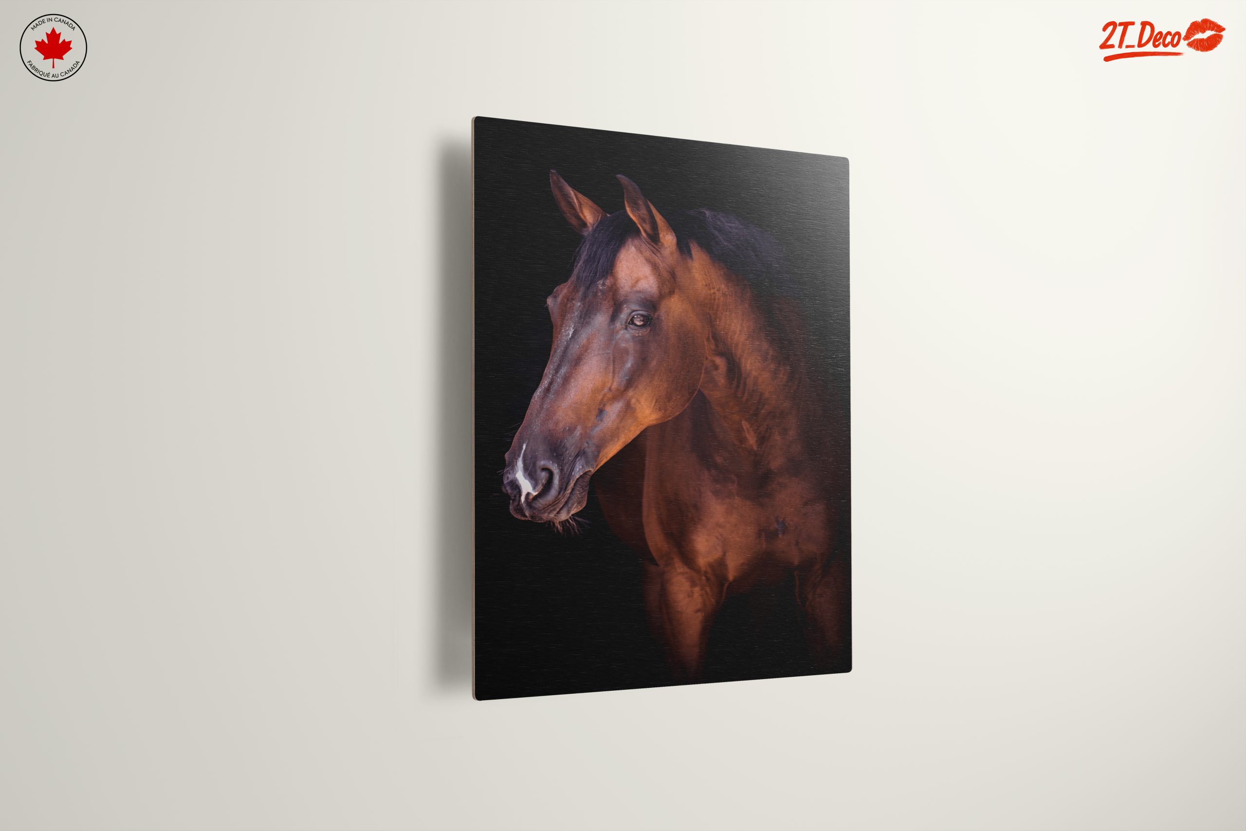 Stunning Horse Portrait - Image 13