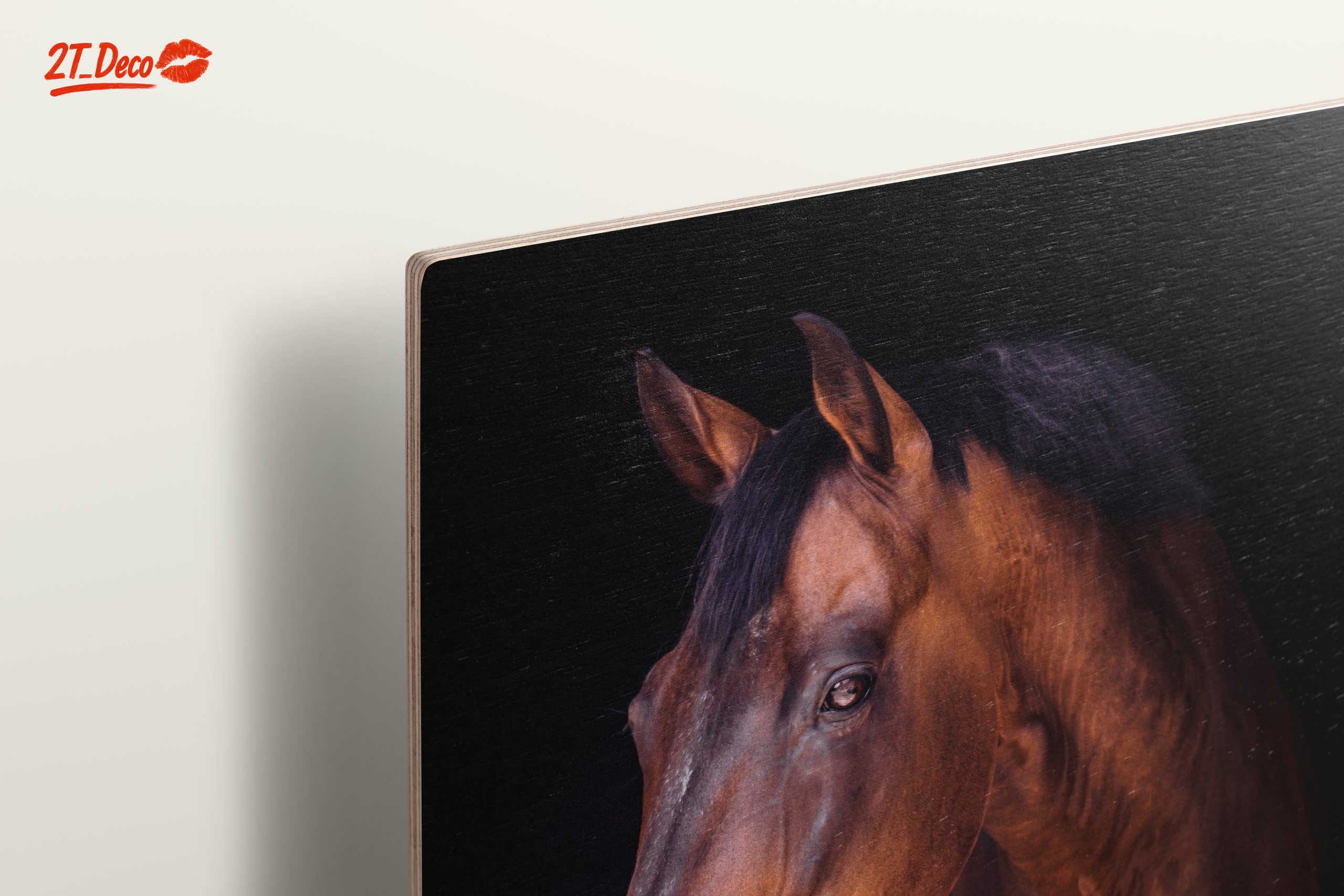 Stunning Horse Portrait - Image 15