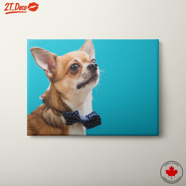 Charming Chihuahua Portrait in Bow Tie