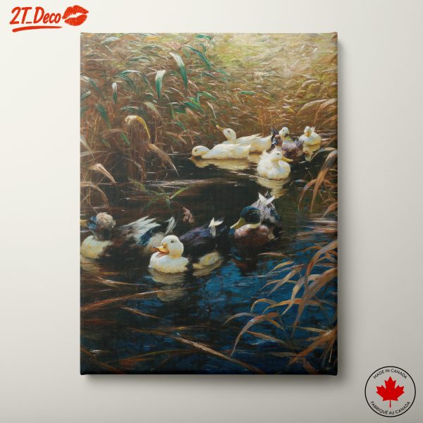 Ducks Gliding Through Tranquil Waters