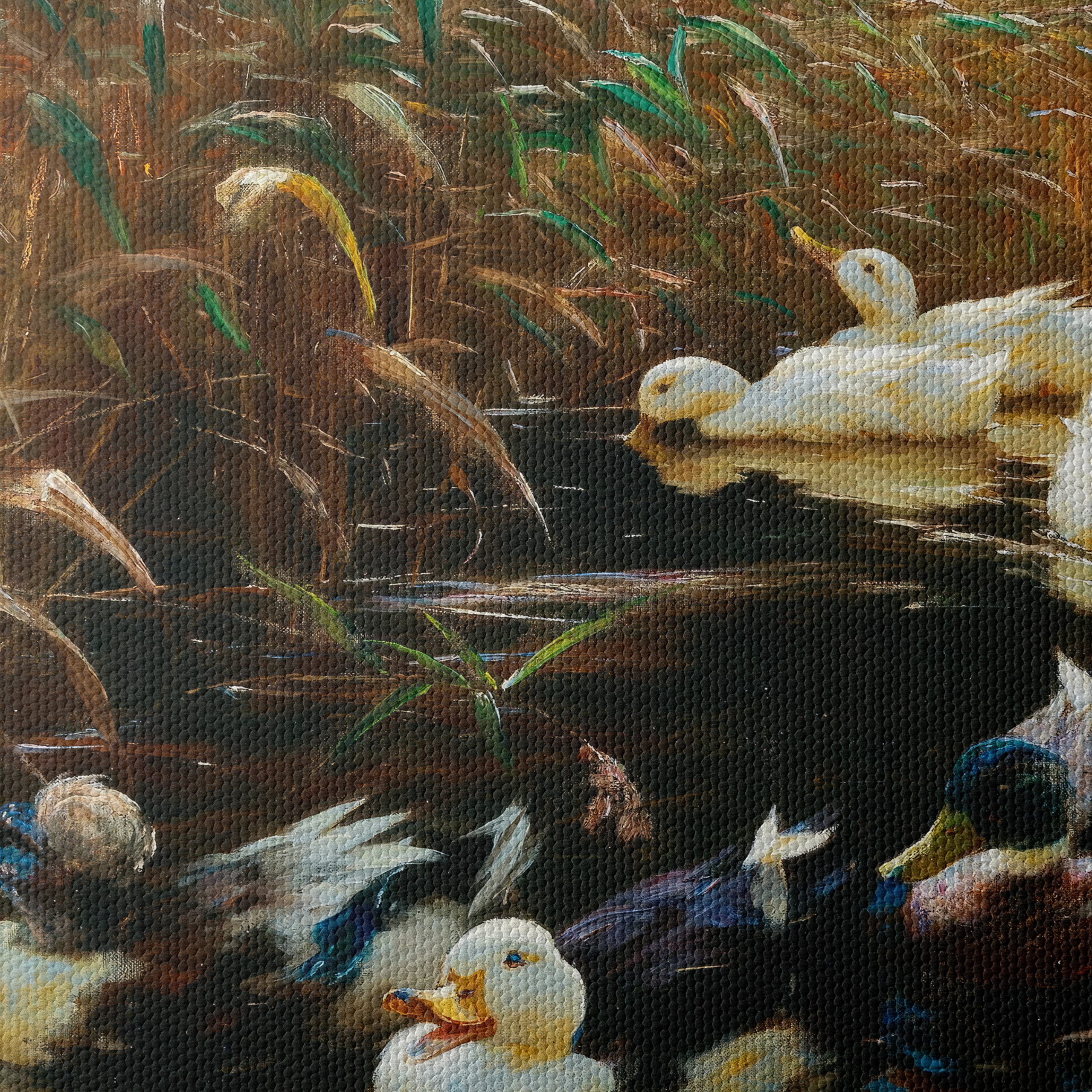 Ducks Gliding Through Tranquil Waters - Image 4