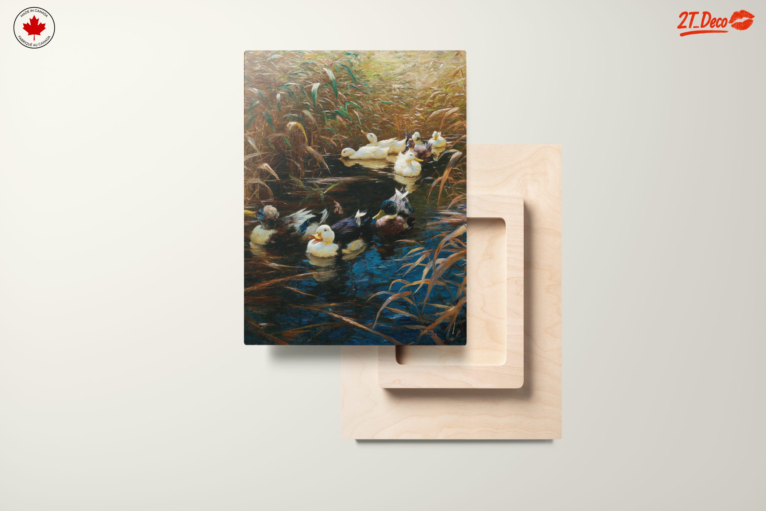 Ducks Gliding Through Tranquil Waters - Image 11