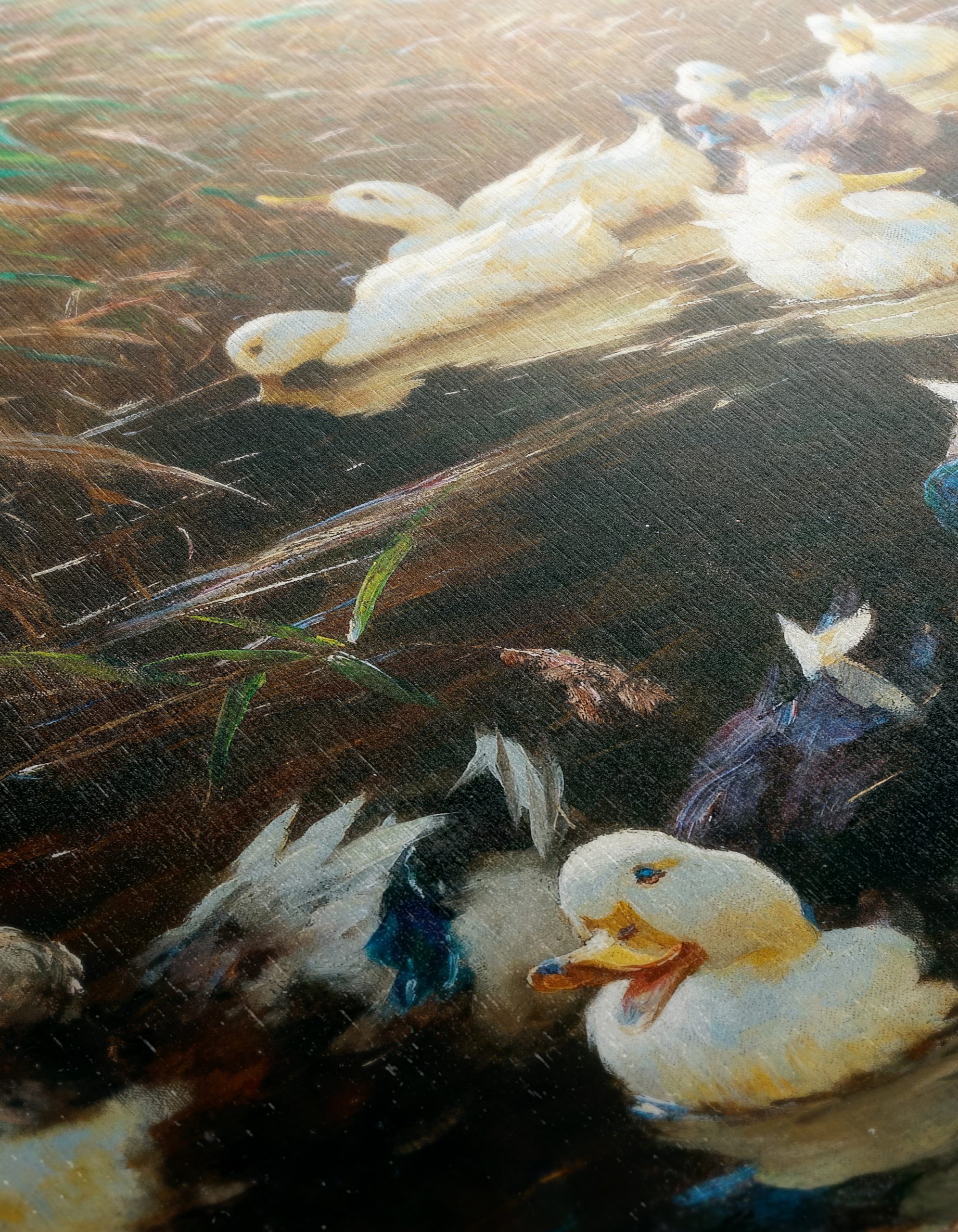 Ducks Gliding Through Tranquil Waters - Image 12