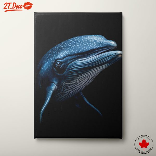 Stunning Whale Portrait on Black Background