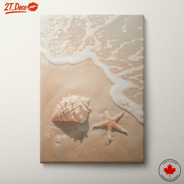 Seashell and Starfish on Sandy Beach