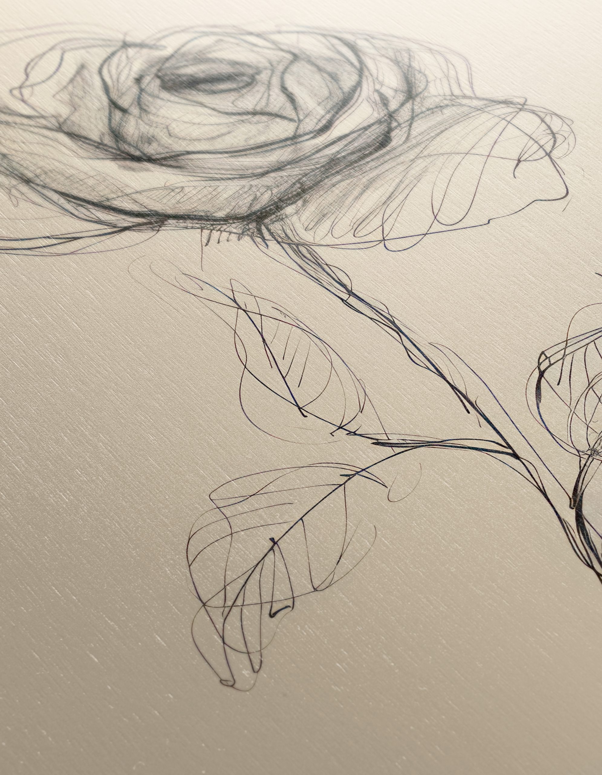 Delicate Rose Sketch on Neutral Background - Image 12