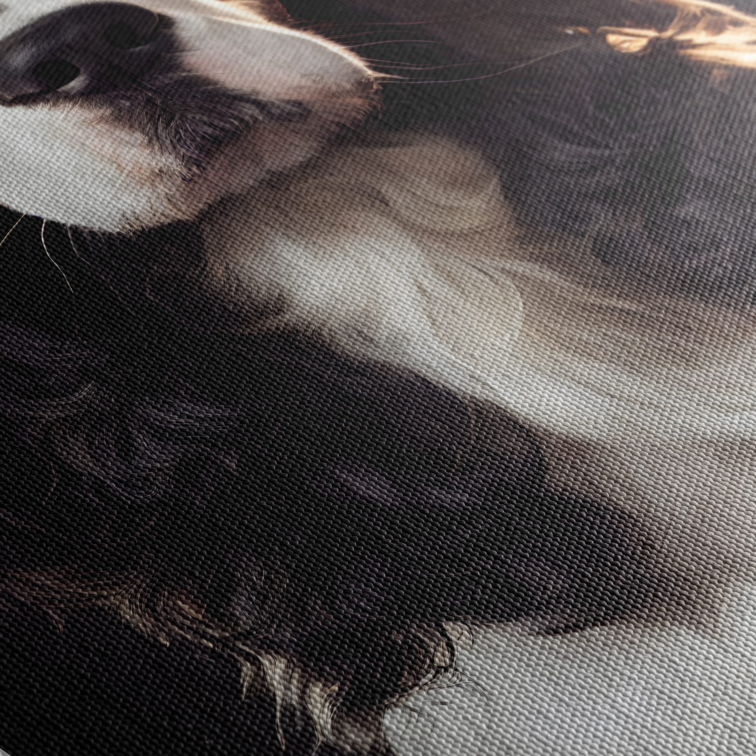 Detailed Portrait of a Dog - Image 5