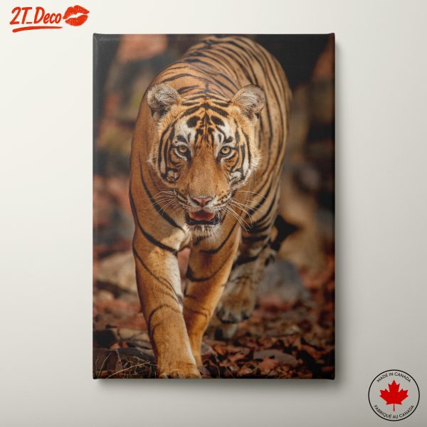 Majestic Bengal Tiger Wall Art