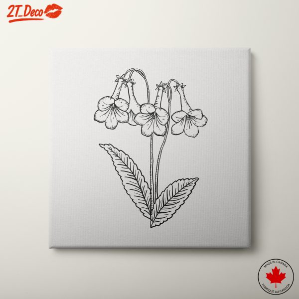 Detailed Botanical Illustration of Flowers