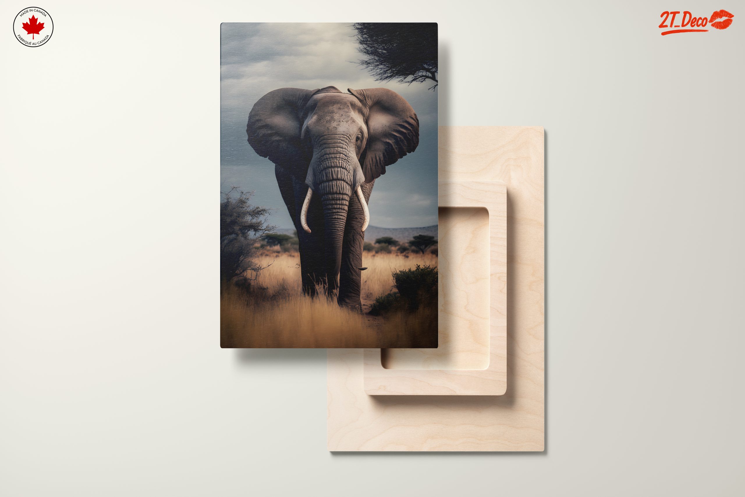 Majestic Elephant in Nature - Image 11