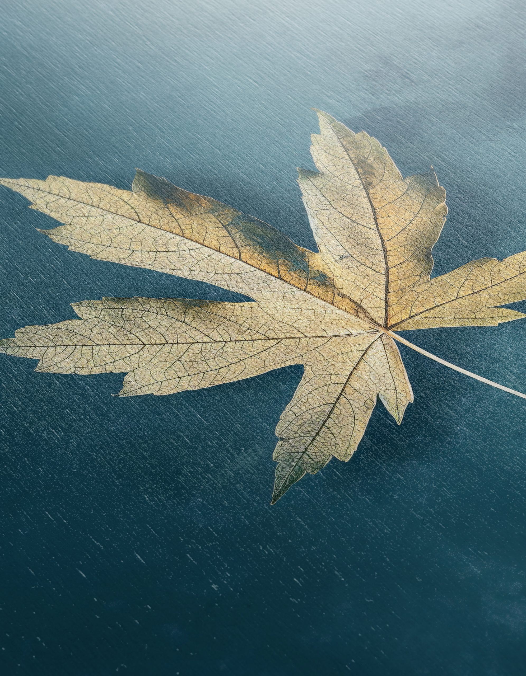 Elegant Minimalist Leaf Art for Modern Decor - Image 12