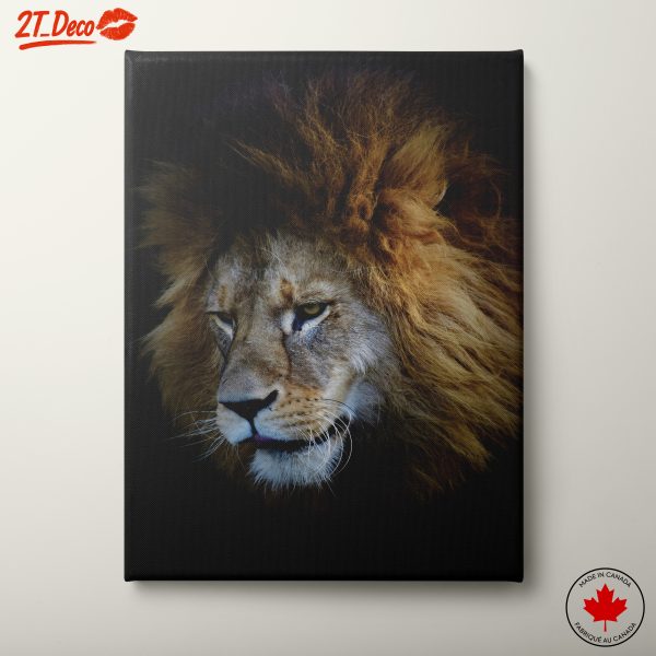Majestic Lion Portrait on Dark Background