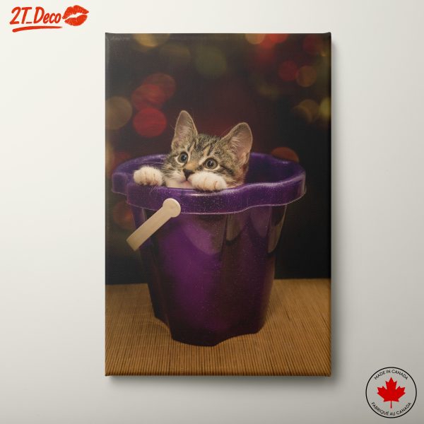 Playful Kitten Peeking From Bucket