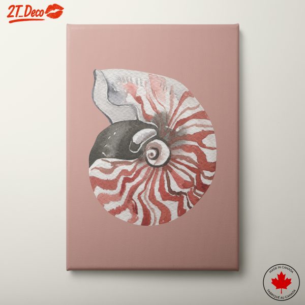 Nautilus Shell Watercolor Art 2