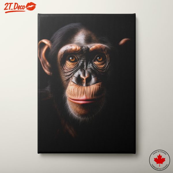 Close-Up Chimpanzee Portrait
