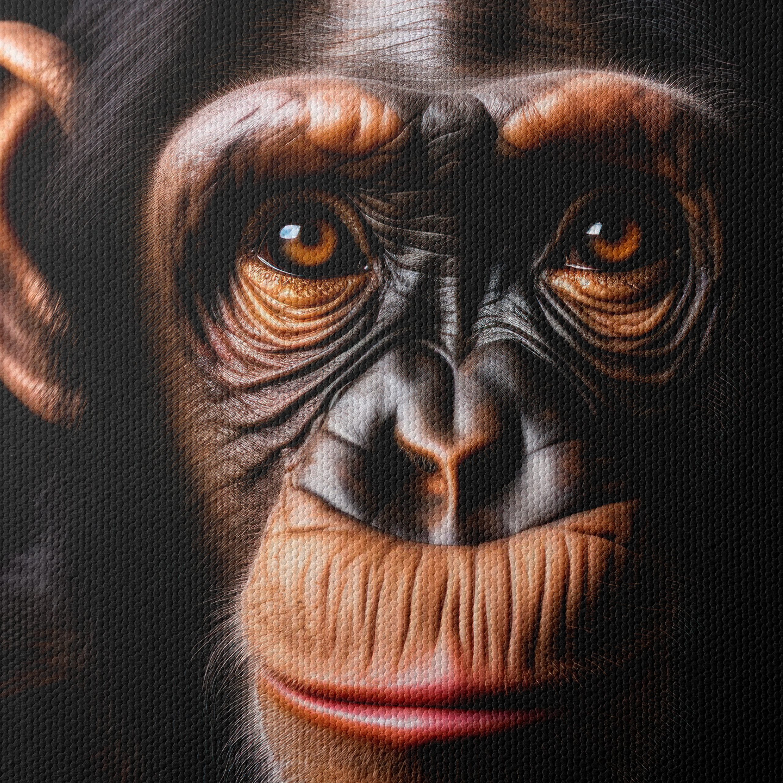 Close-Up Chimpanzee Portrait - Image 4