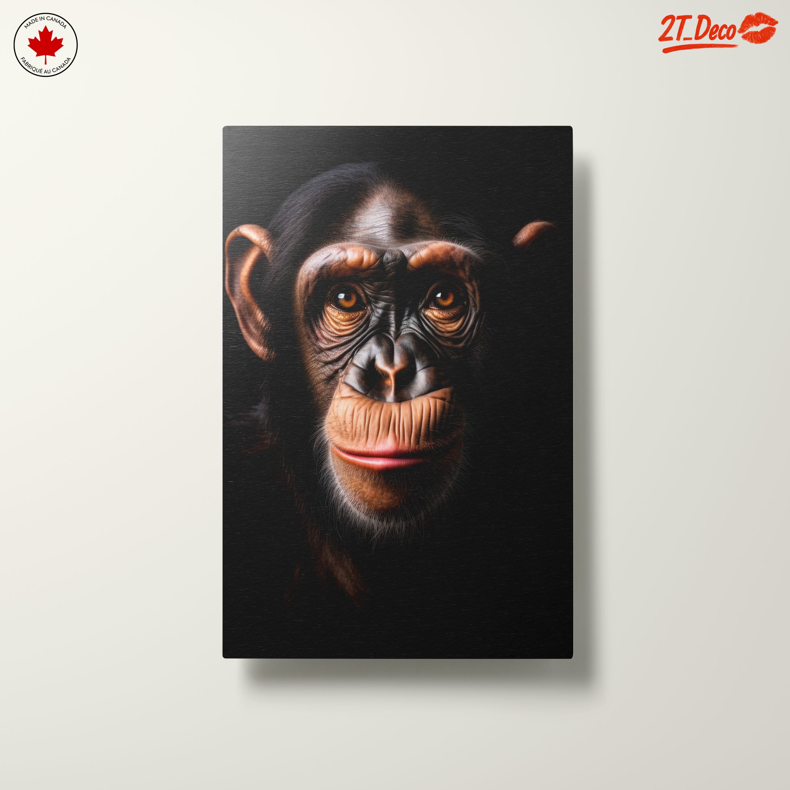 Close-Up Chimpanzee Portrait - Image 10