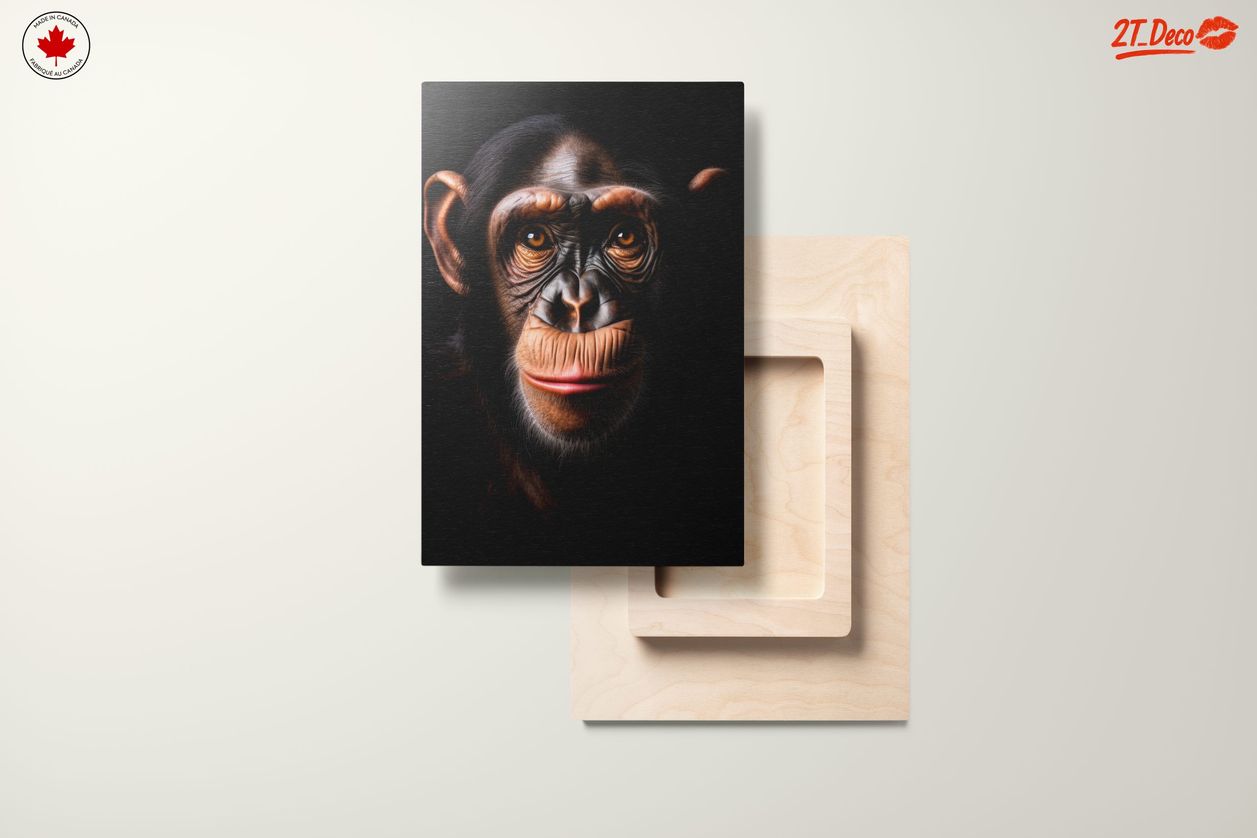 Close-Up Chimpanzee Portrait - Image 11