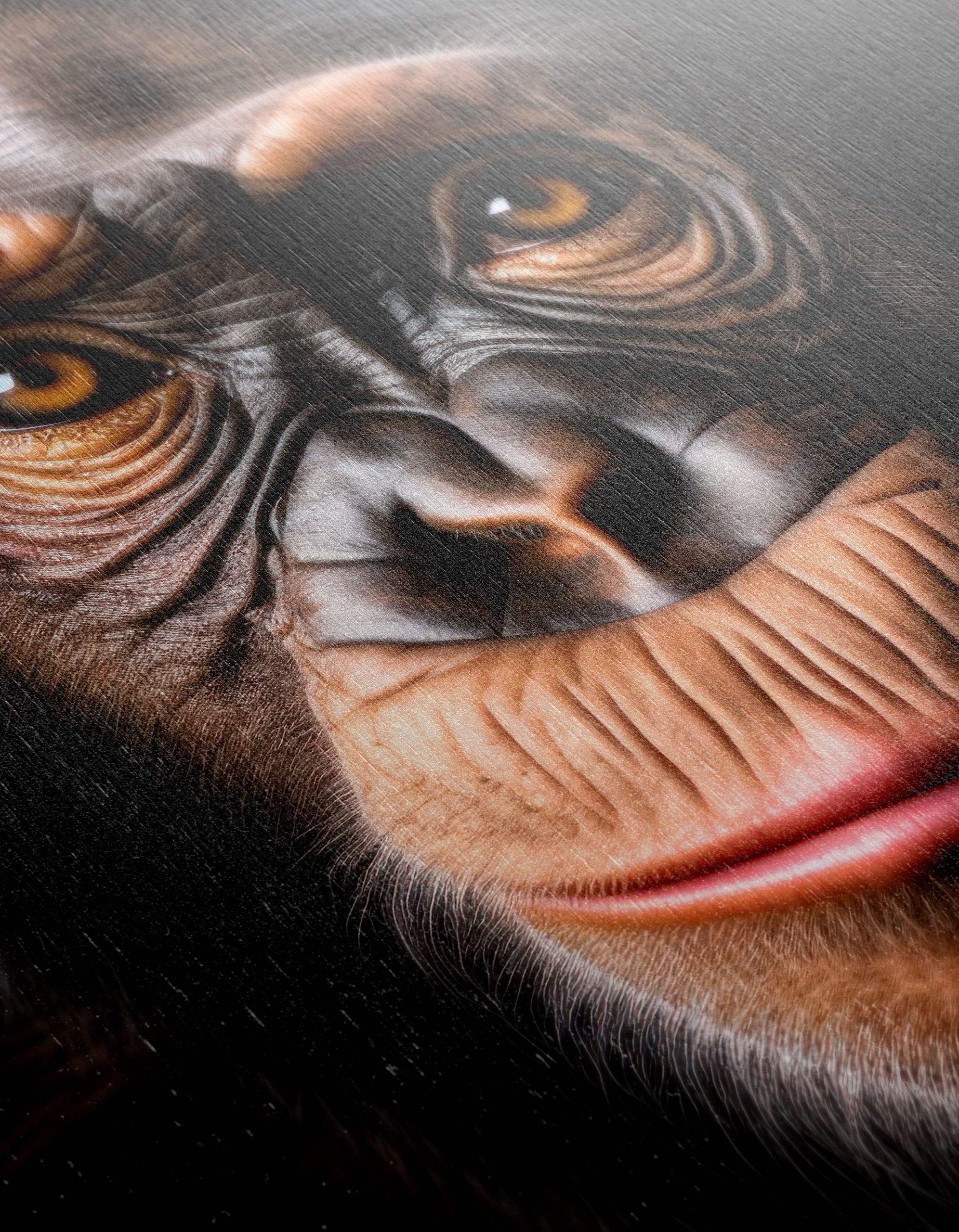 Close-Up Chimpanzee Portrait - Image 12
