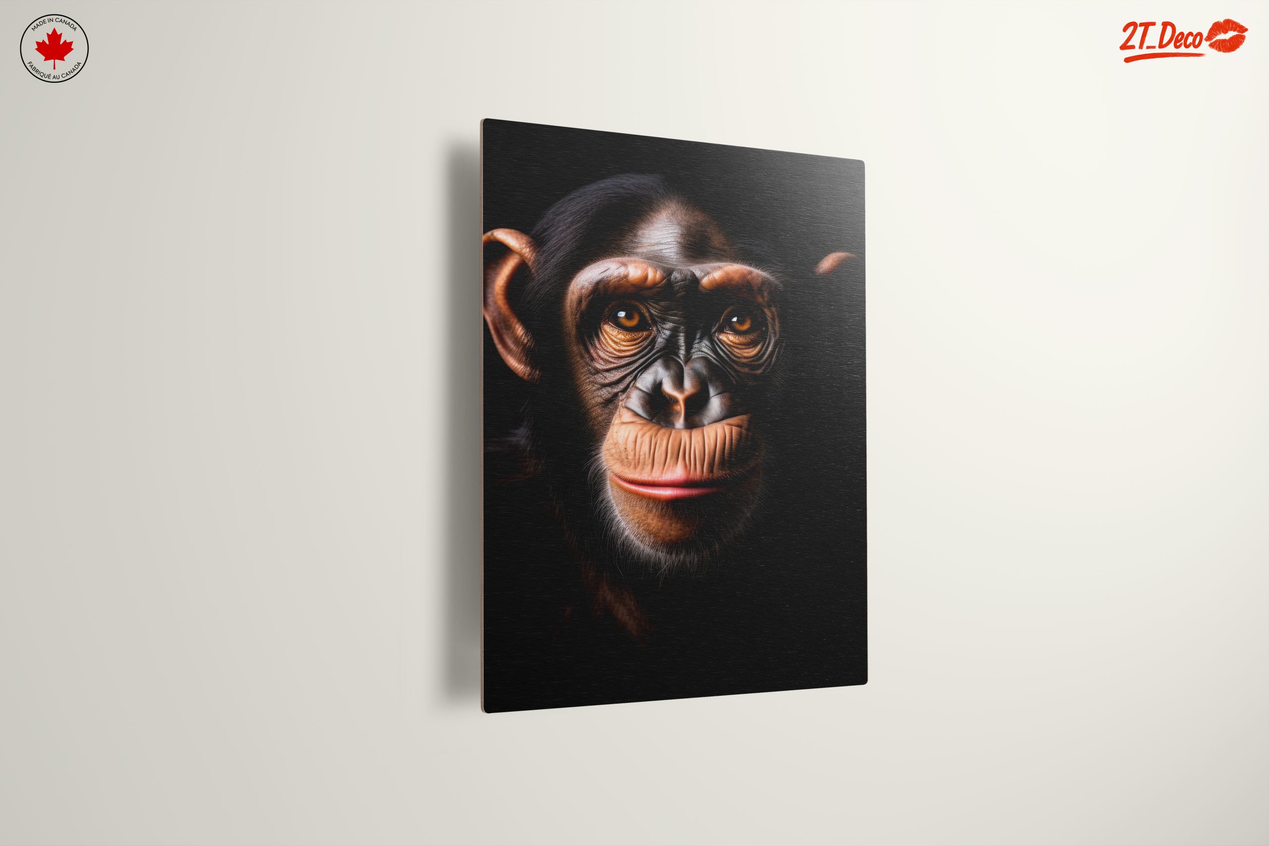 Close-Up Chimpanzee Portrait - Image 13