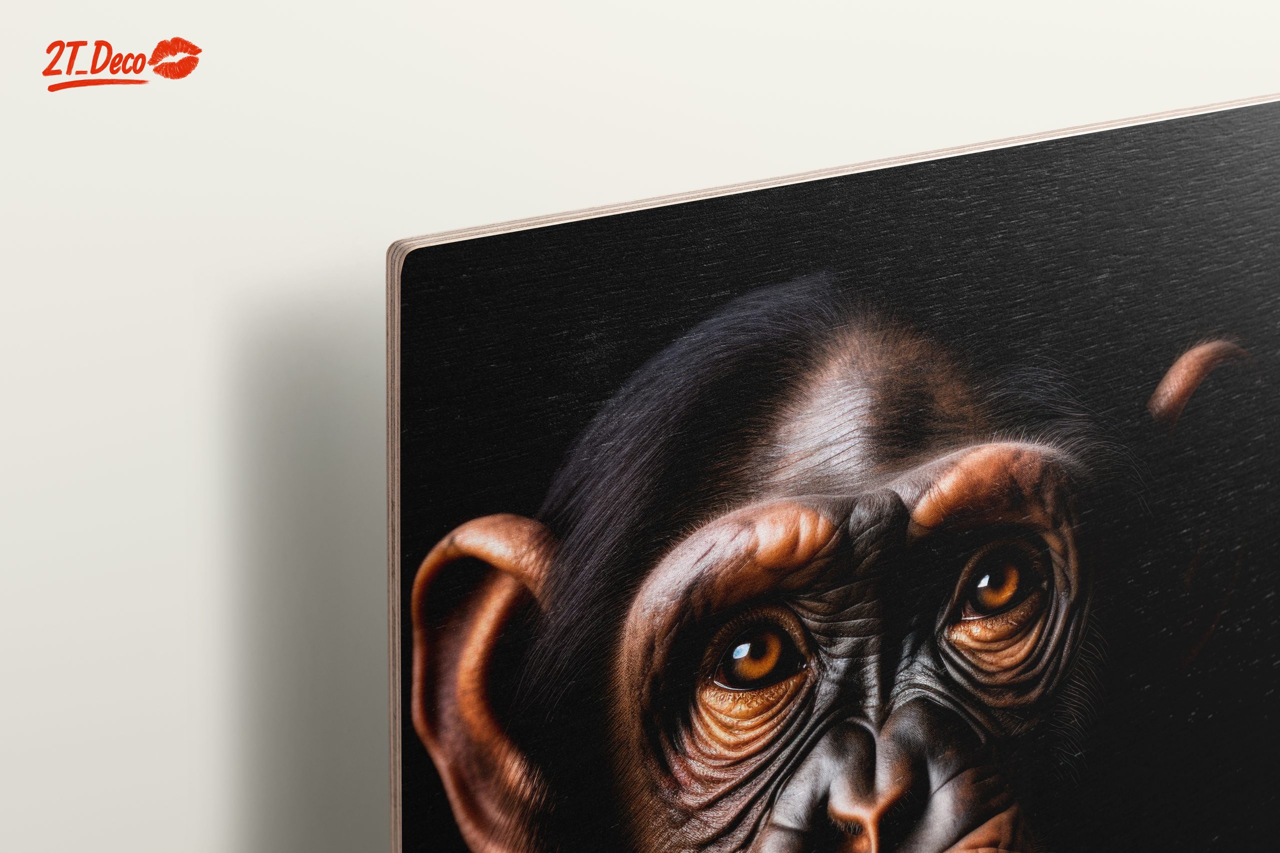 Close-Up Chimpanzee Portrait - Image 15