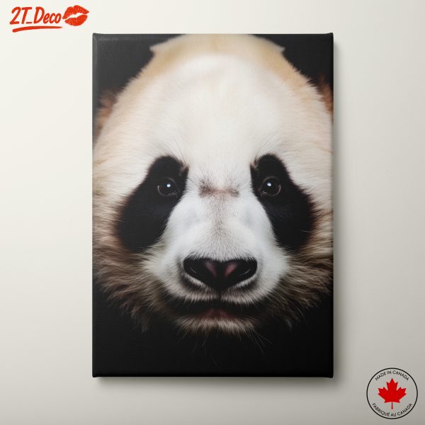 Artistic Panda Portrait