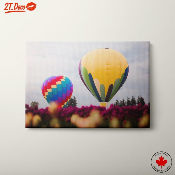 Colorful Hot Air Balloons Over Blooms