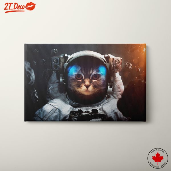 Cat Astronaut Space Adventure Art