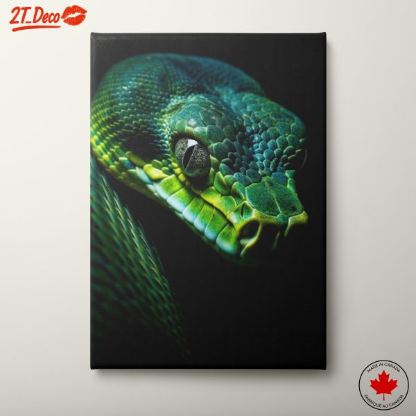 Close-Up of a Green Snake