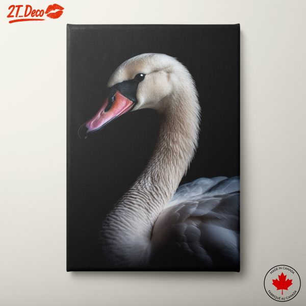 Elegant Swan Portrait on Dark Background