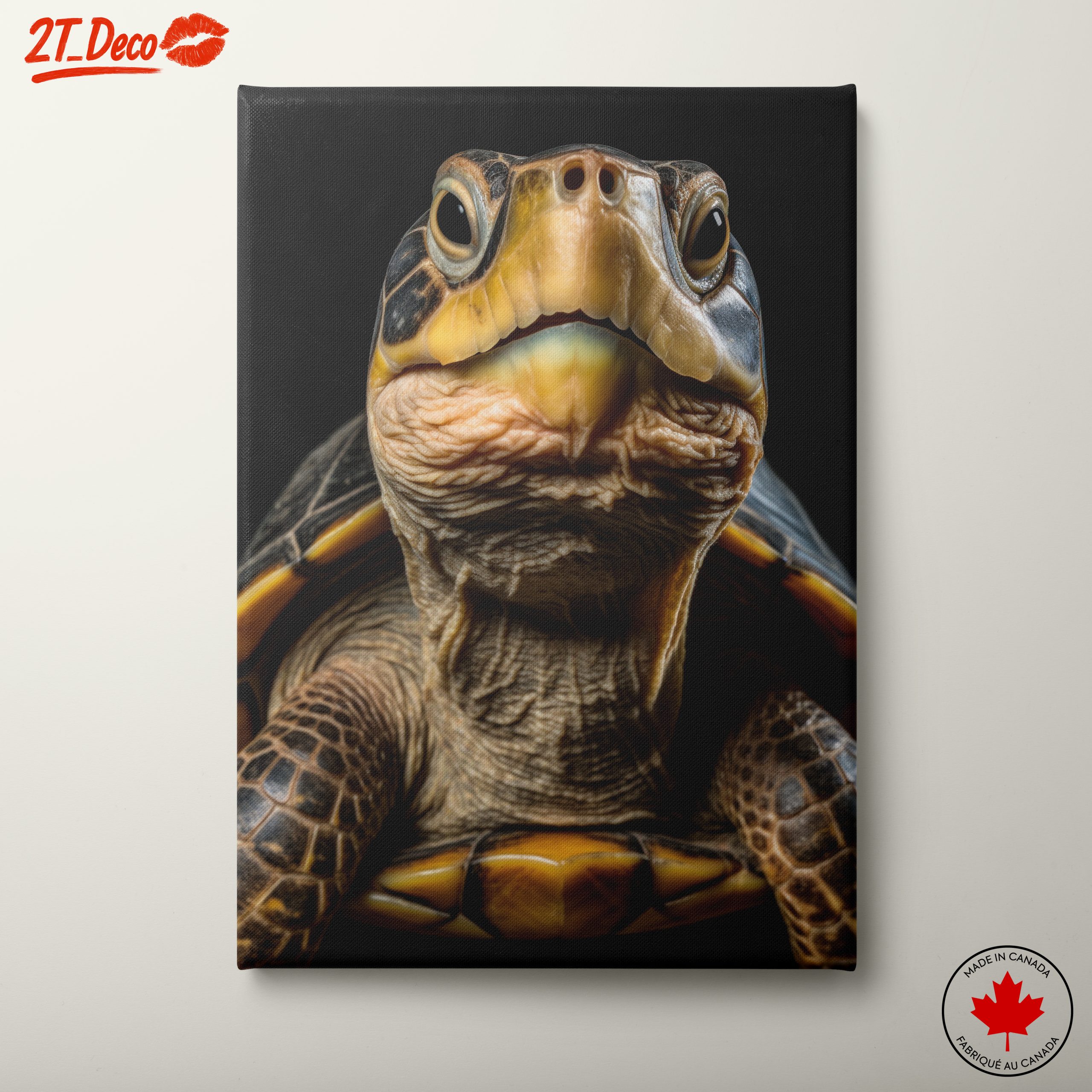 Close-Up of an Aquatic Turtle