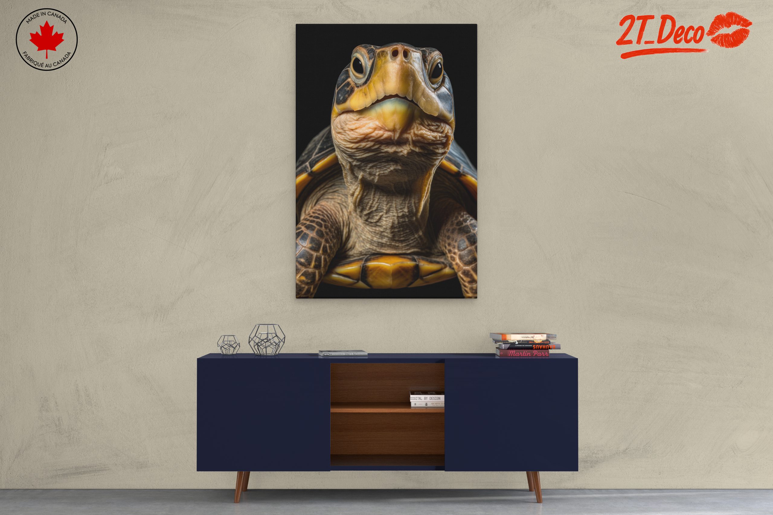 Close-Up of an Aquatic Turtle - Image 3