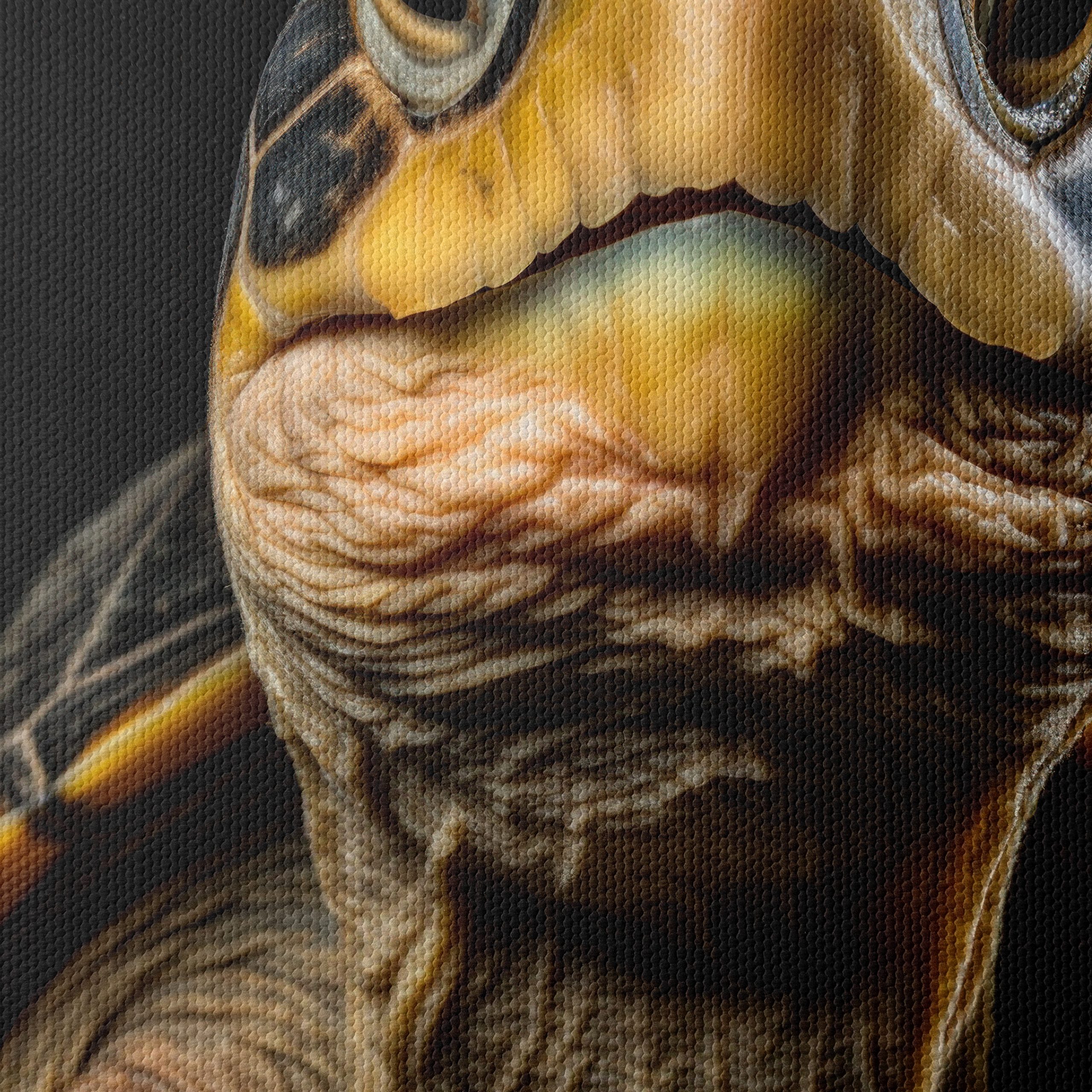 Close-Up of an Aquatic Turtle - Image 4