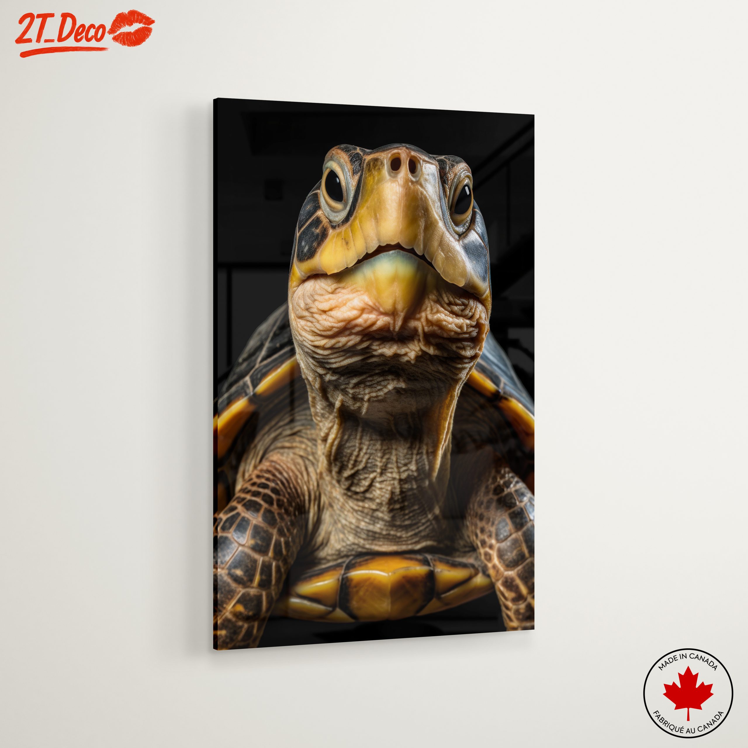 Close-Up of an Aquatic Turtle - Image 6