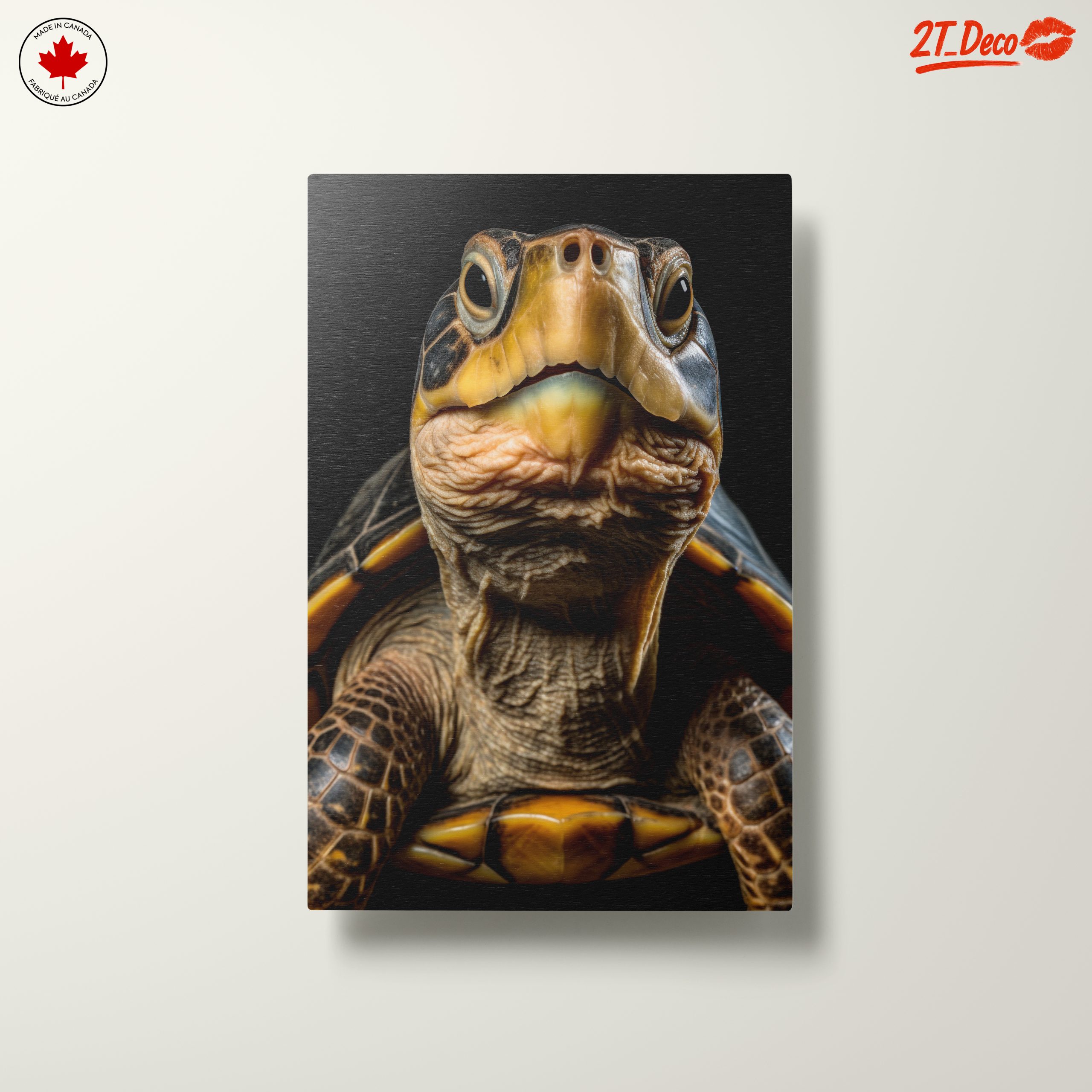 Close-Up of an Aquatic Turtle - Image 10
