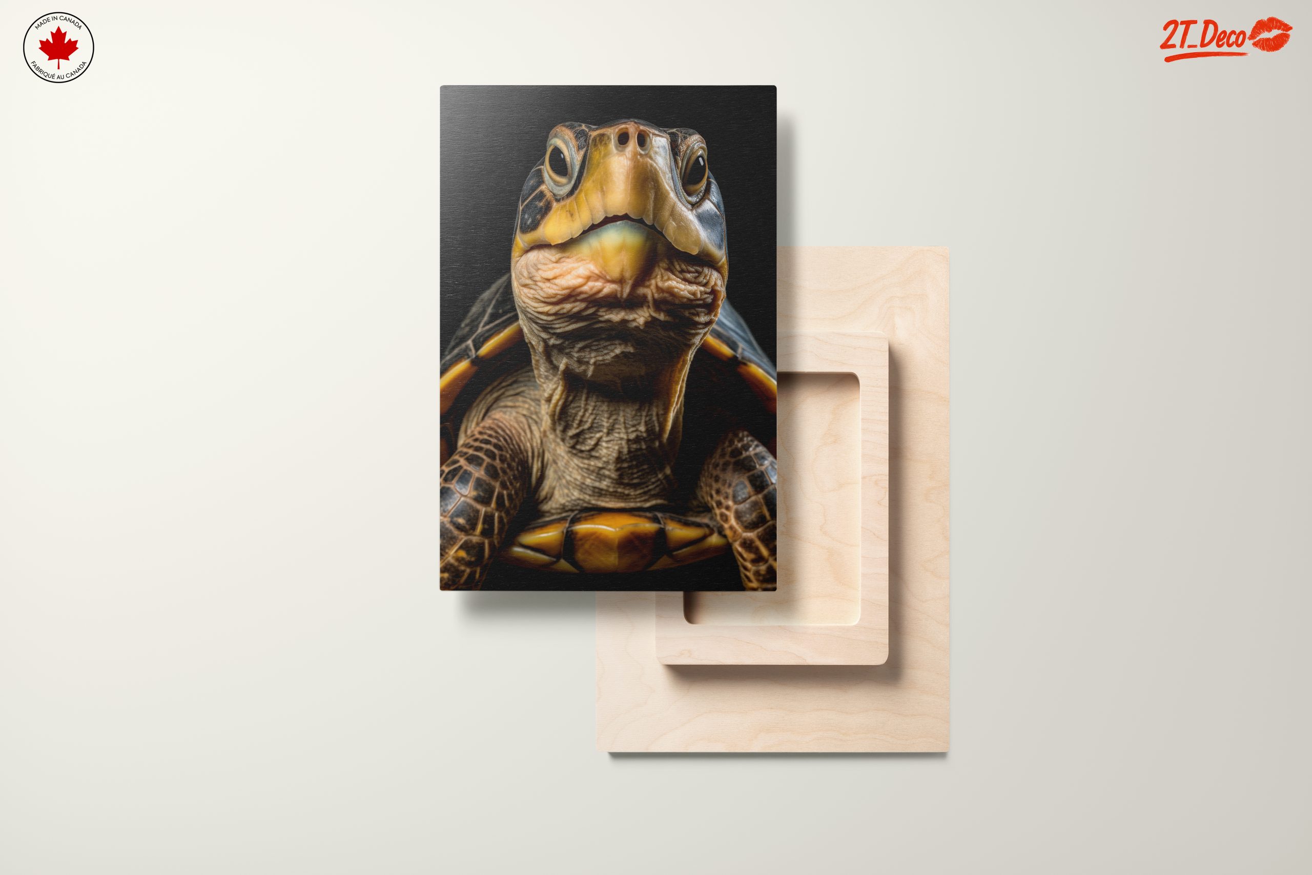 Close-Up of an Aquatic Turtle - Image 11