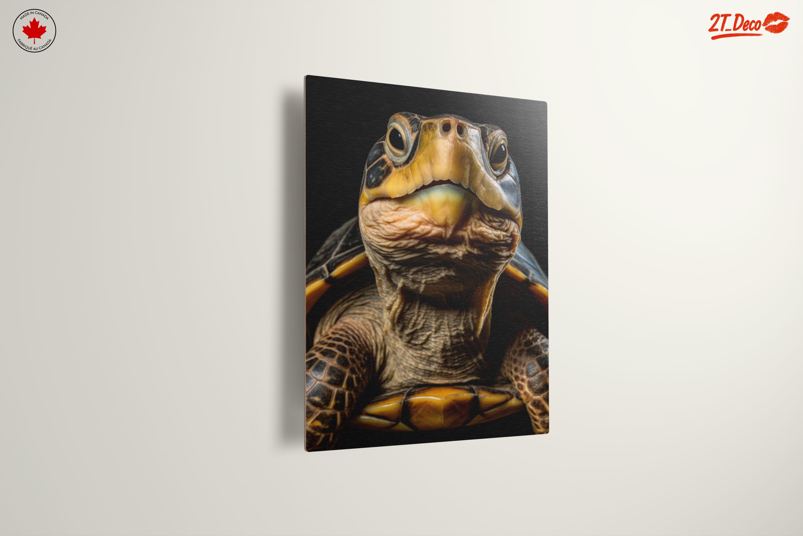 Close-Up of an Aquatic Turtle - Image 13
