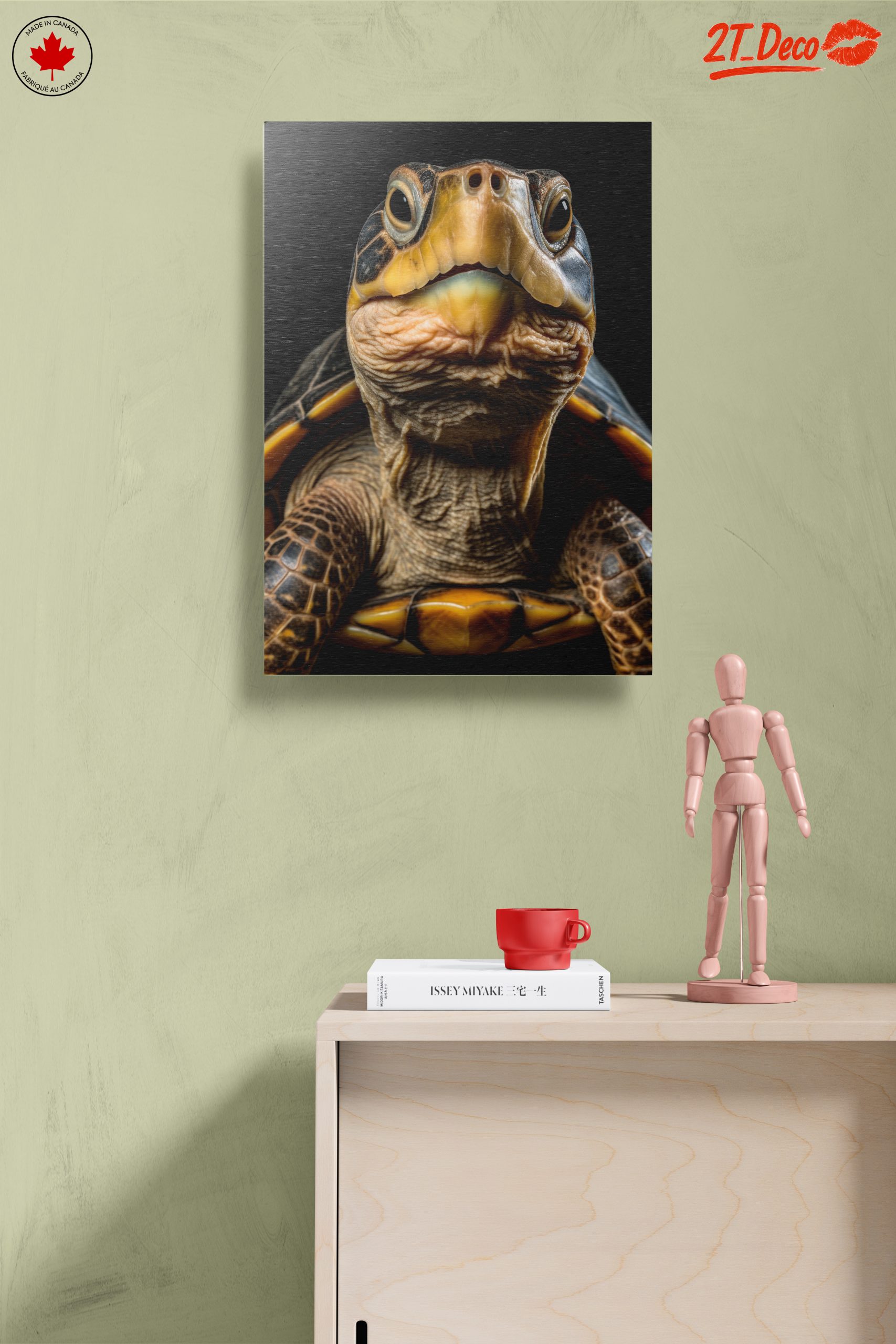 Close-Up of an Aquatic Turtle - Image 14