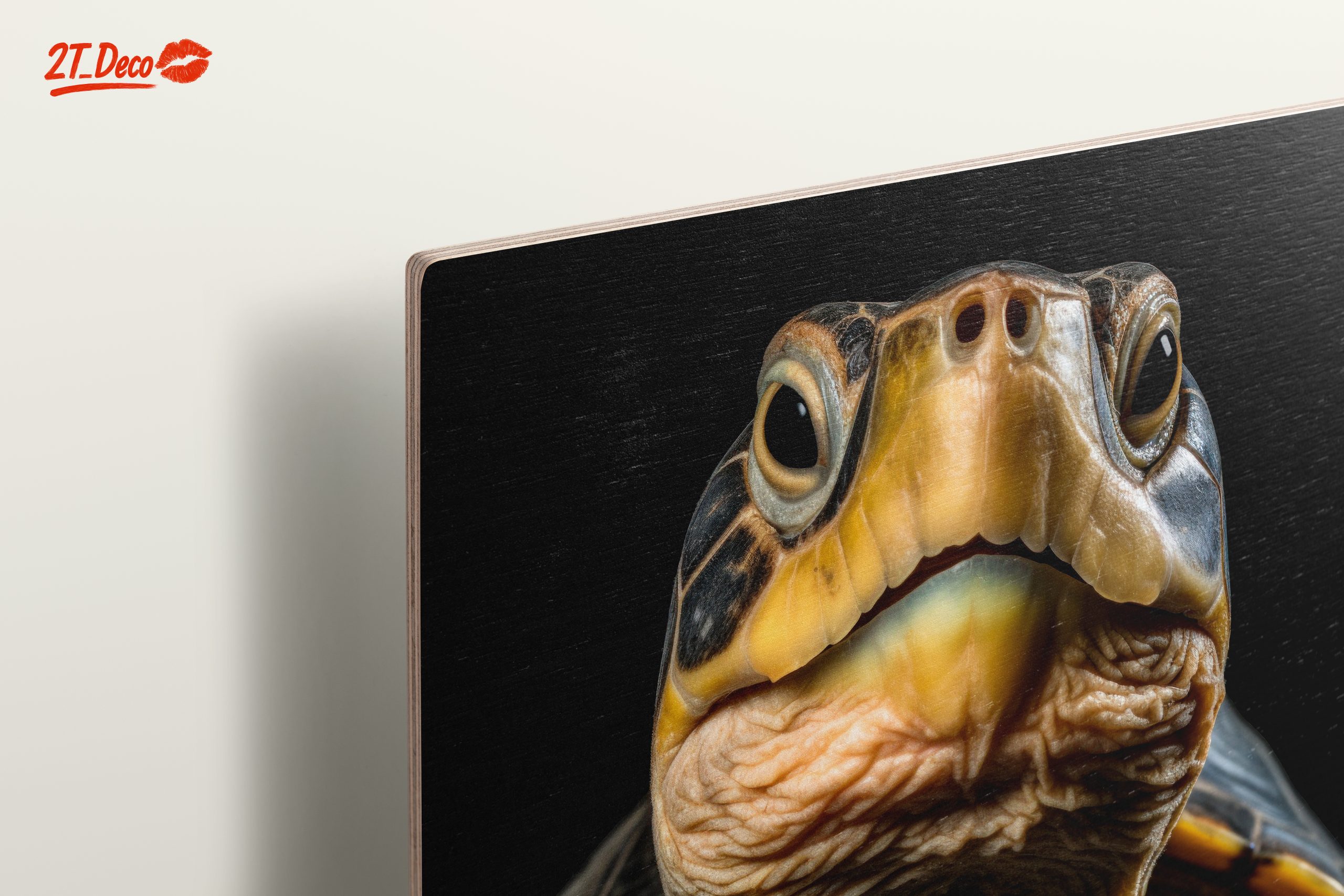 Close-Up of an Aquatic Turtle - Image 15