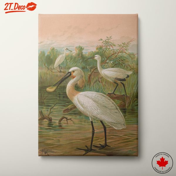 Elegant Bird Illustration in Natural Habitat
