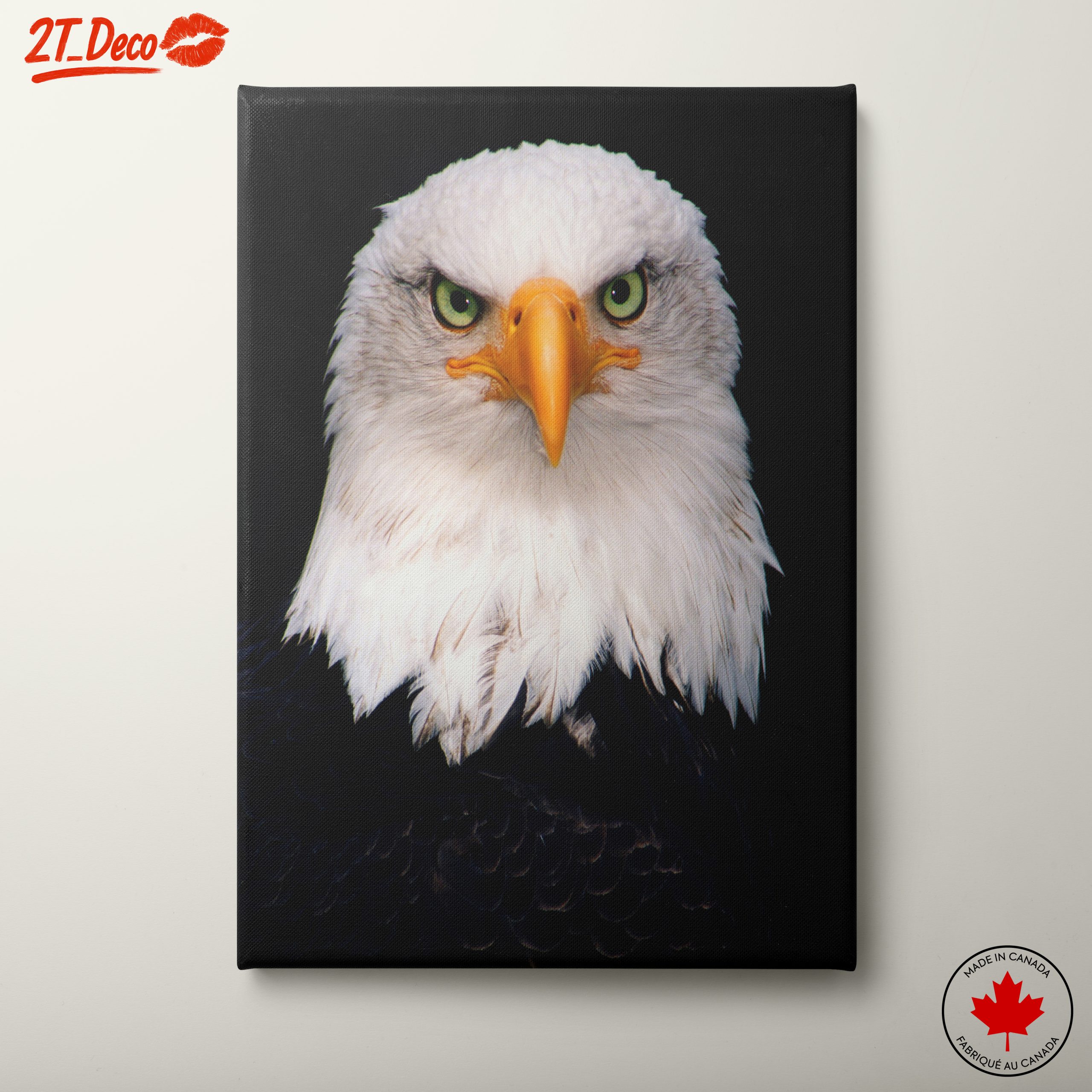 Majestic Bald Eagle