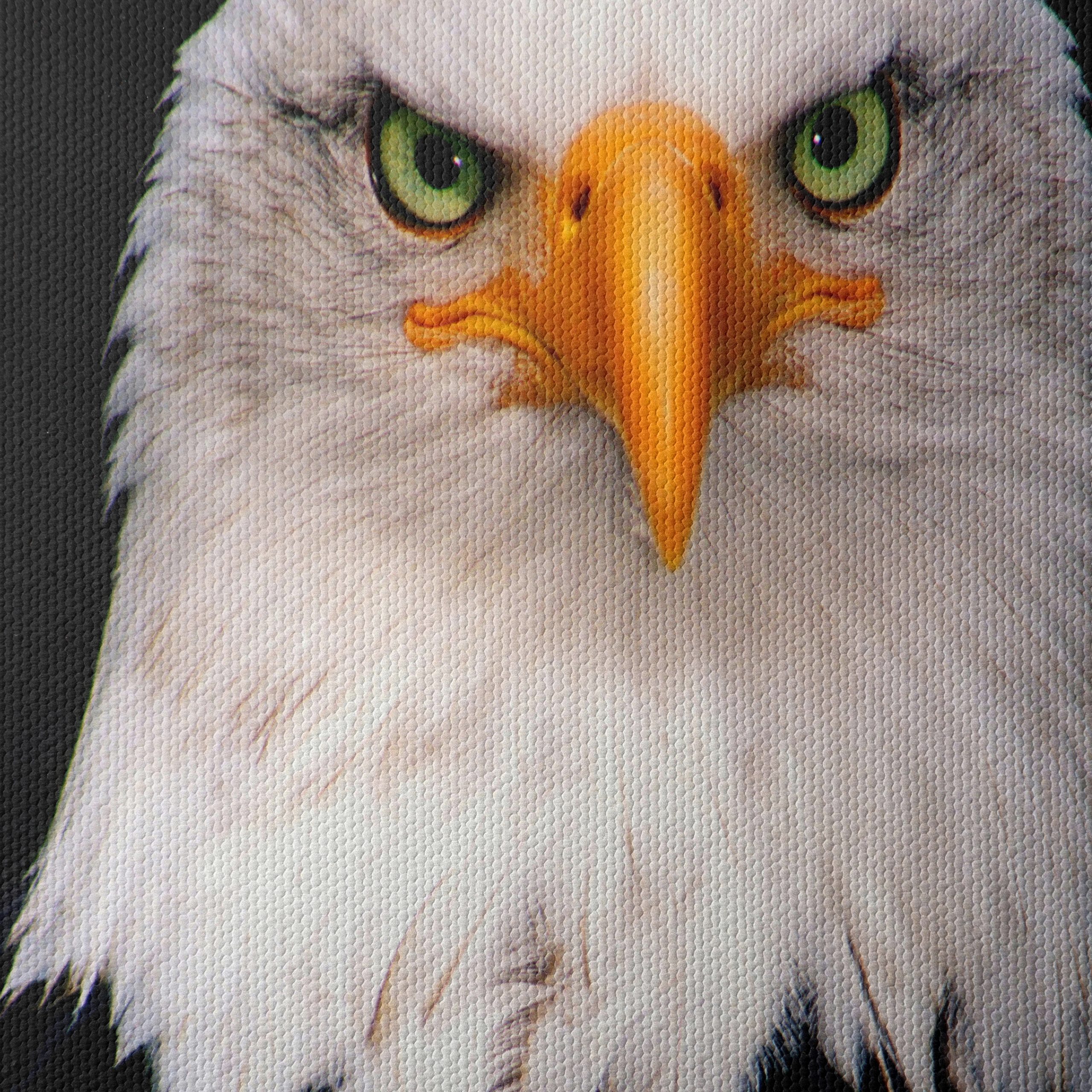 Majestic Bald Eagle - Image 4