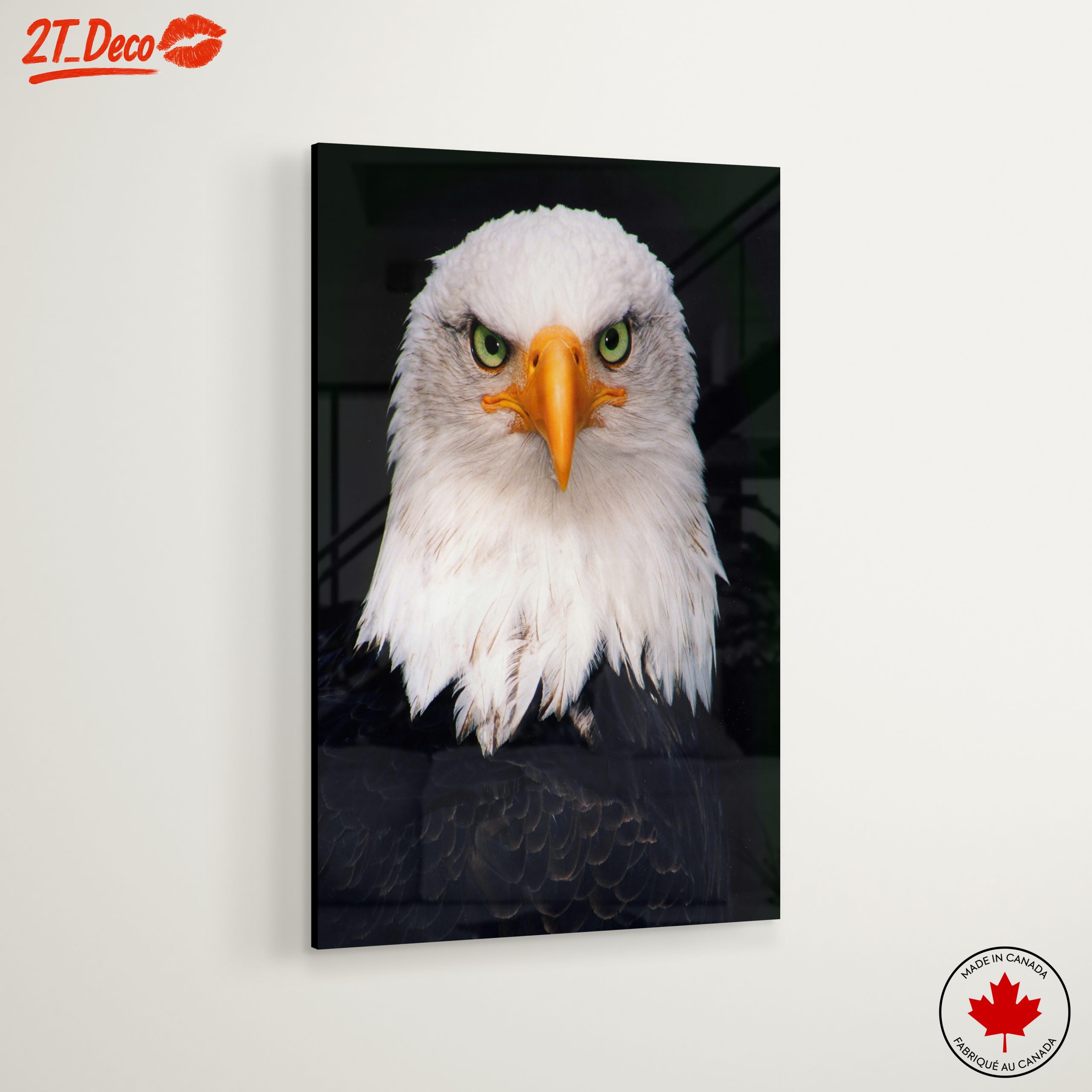Majestic Bald Eagle - Image 6
