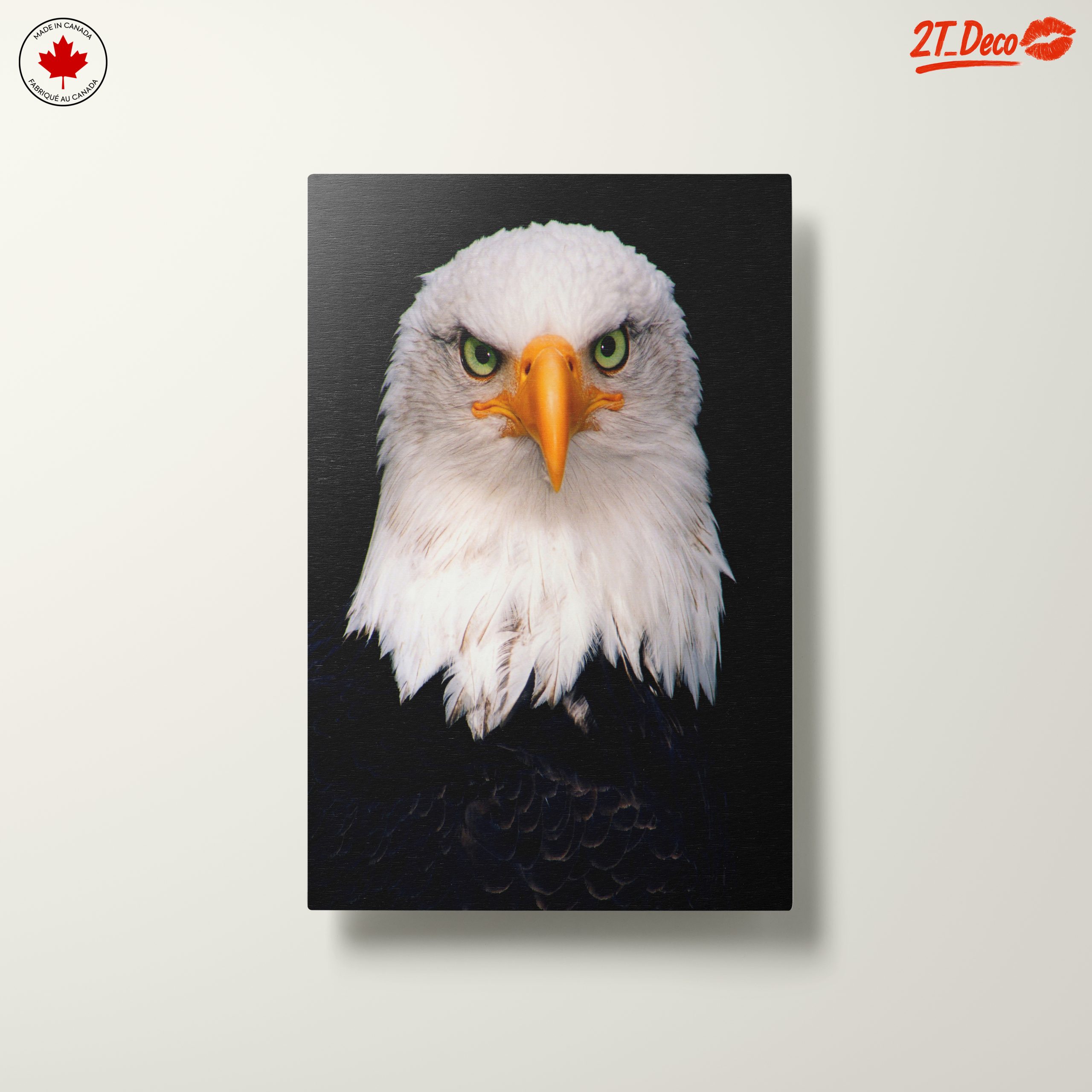 Majestic Bald Eagle - Image 10