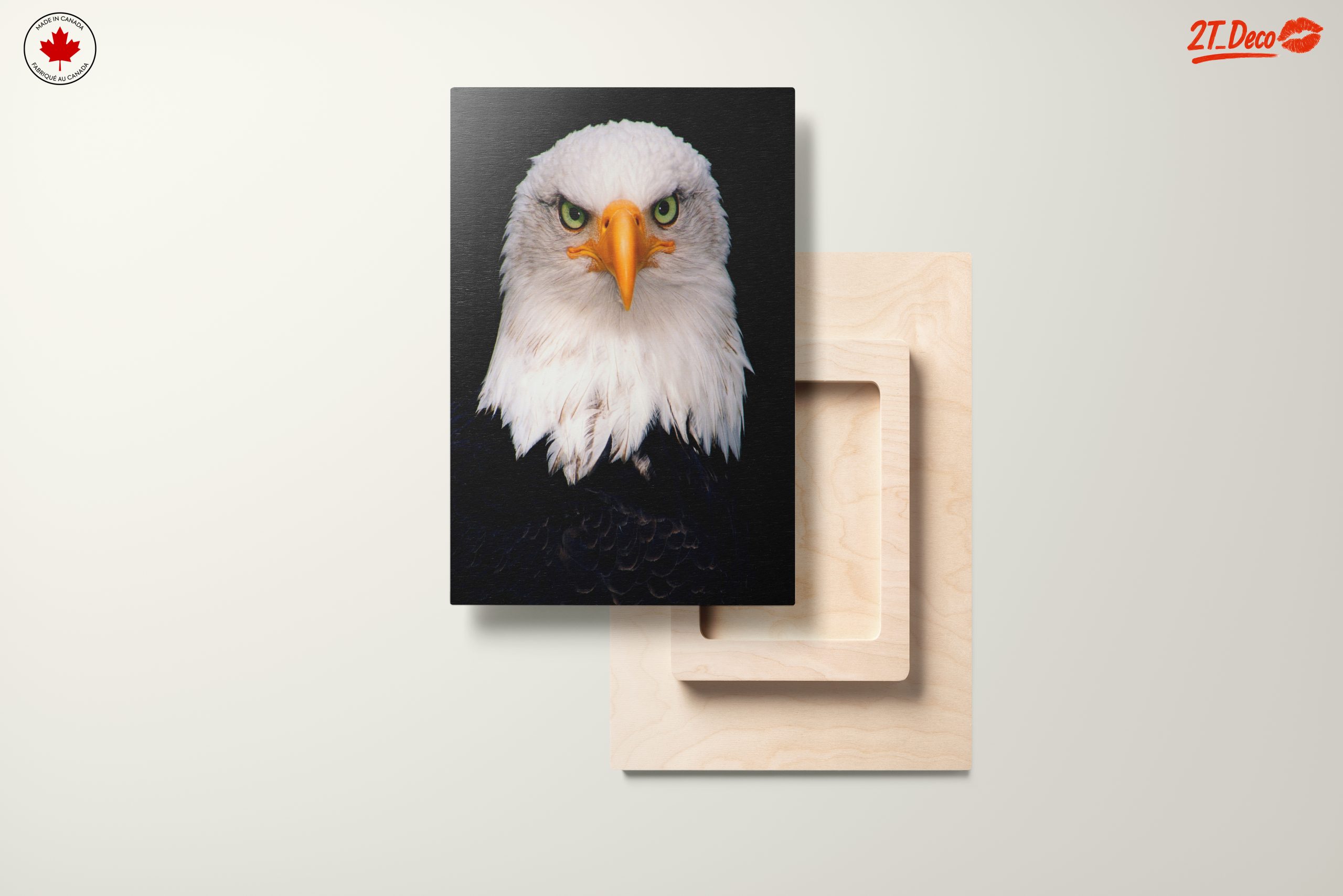 Majestic Bald Eagle - Image 11