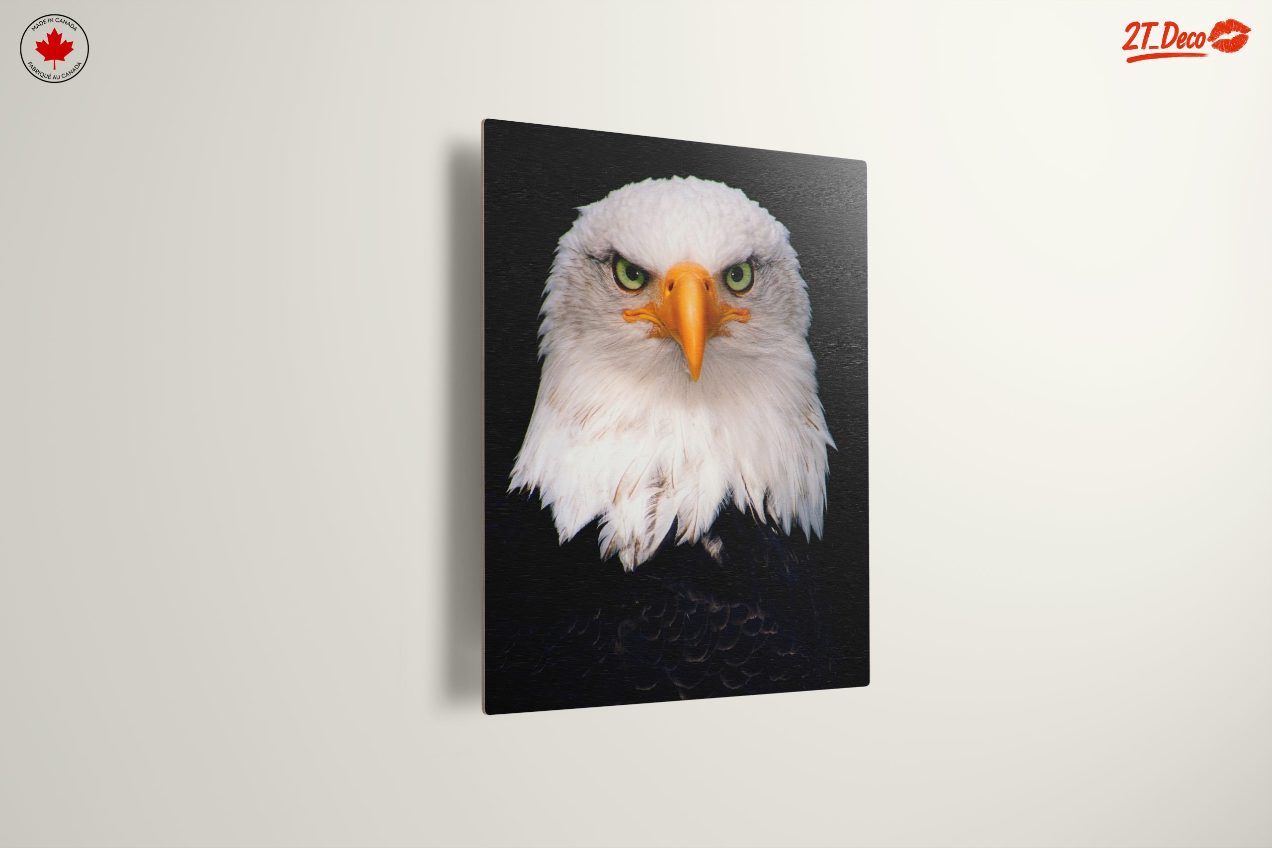 Majestic Bald Eagle - Image 13