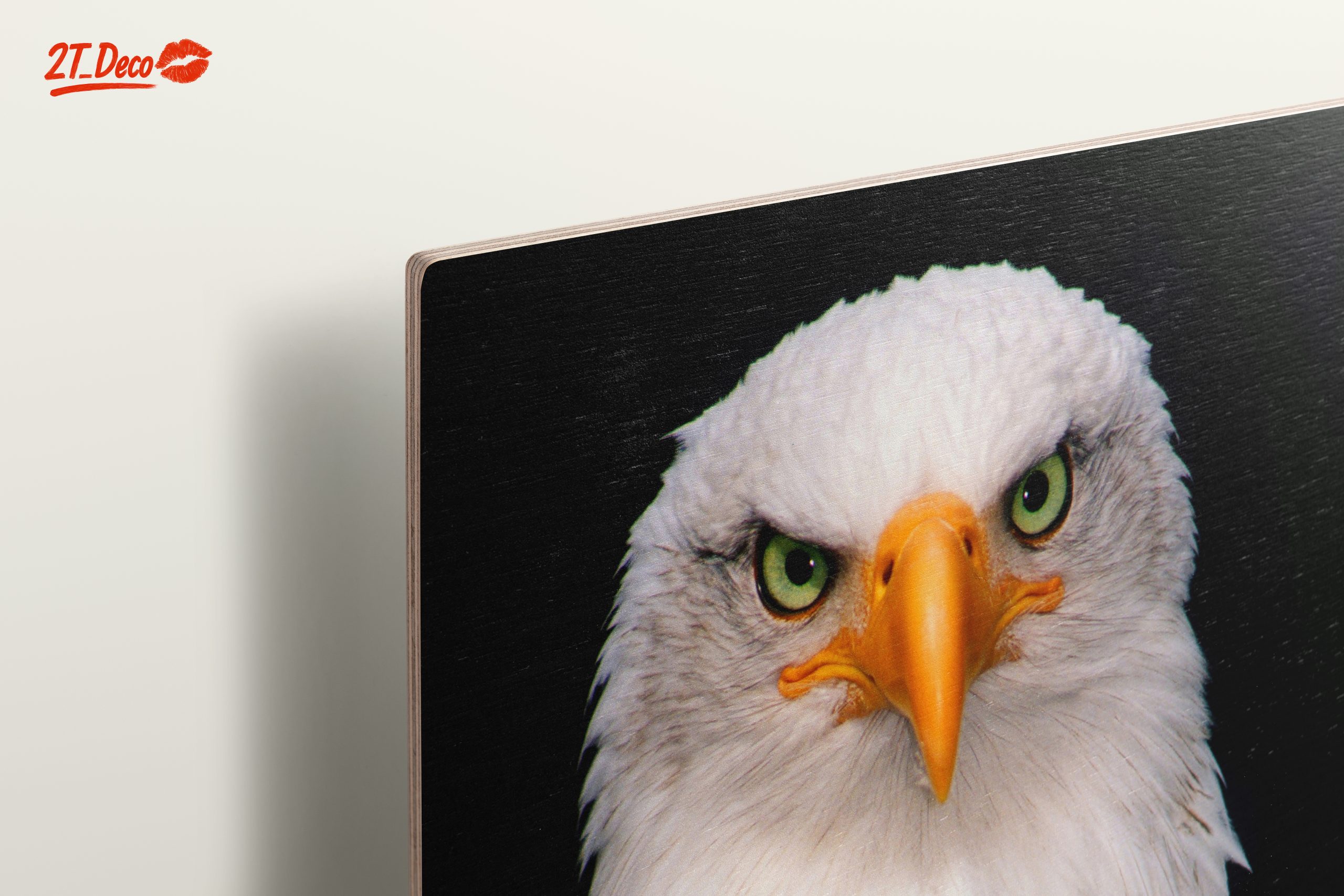 Majestic Bald Eagle - Image 15
