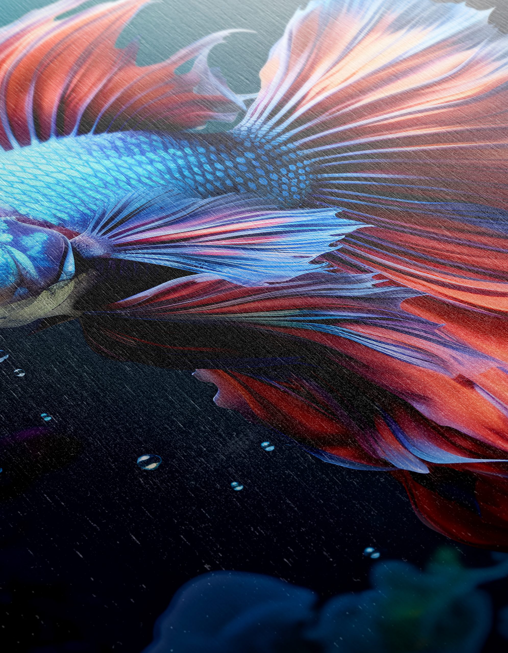 Vibrant Fish Swimming Among Coral - Image 12